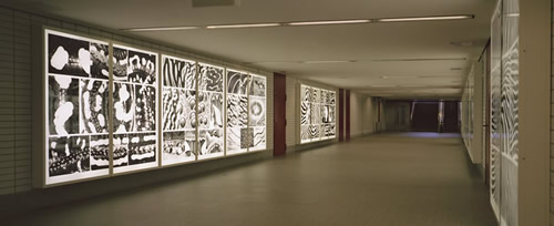 Die 200x125 cm großen Dialeuchtkästen gliedern den Verbindungsgang der U-Bahn Station Hagenbecks Tierpark,